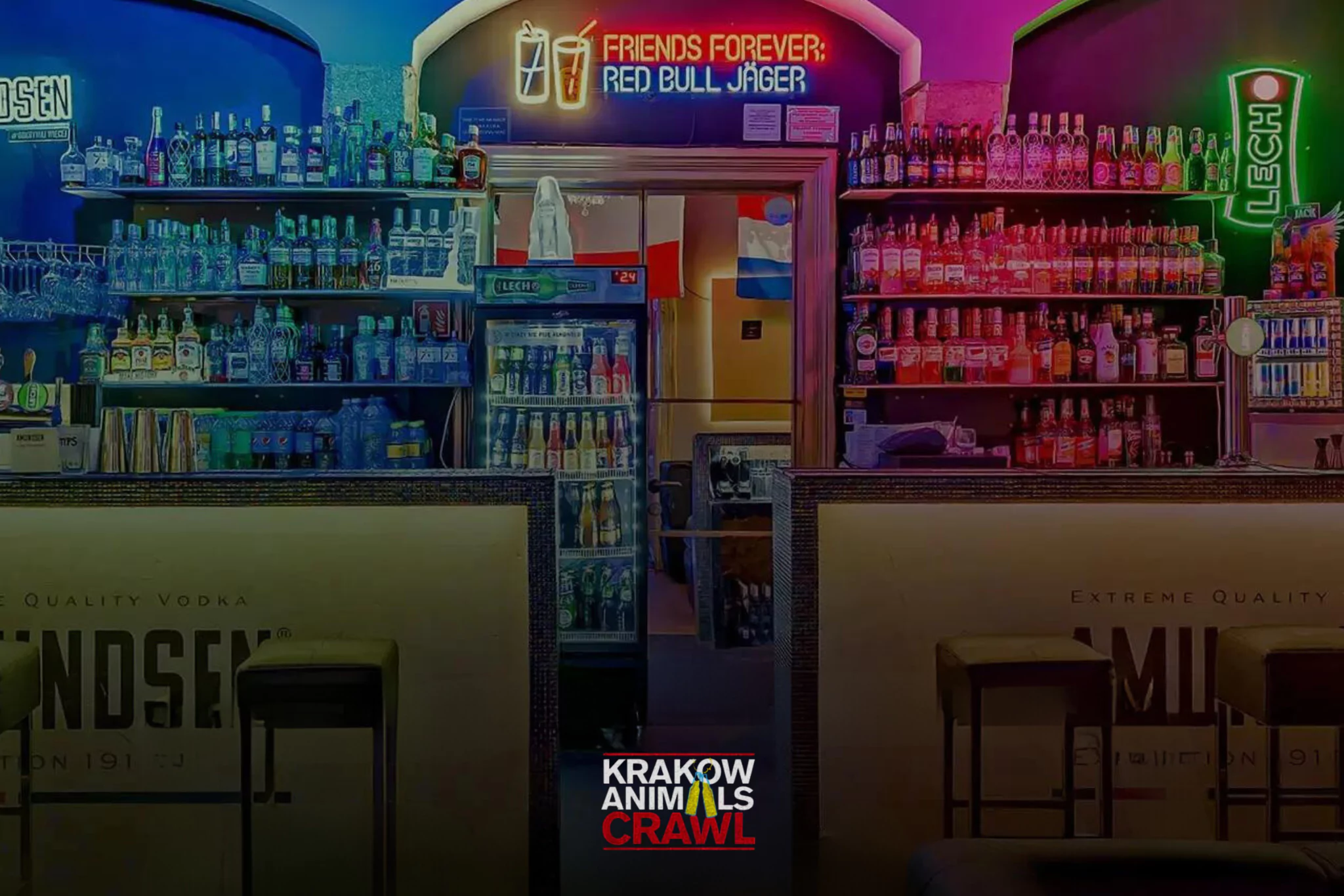 Cocktail and drinks bar