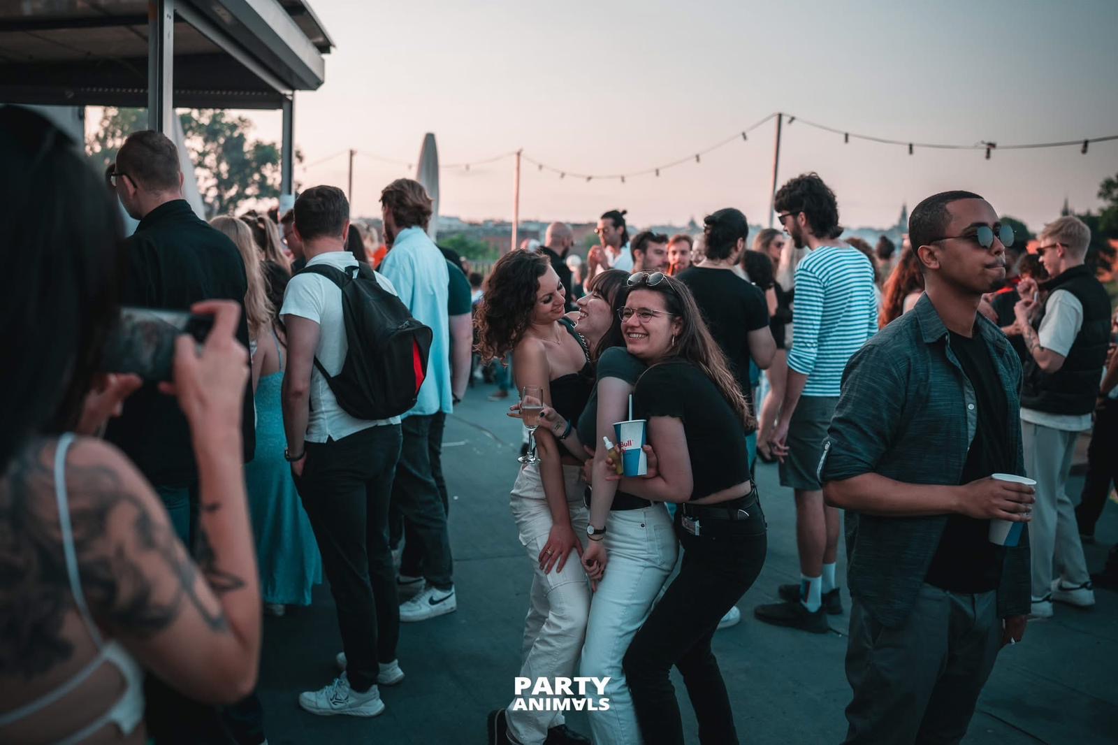 Party guides